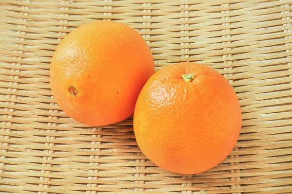 ネーブルオレンジ（3L）