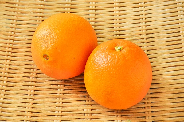 ネーブルオレンジ（3L）