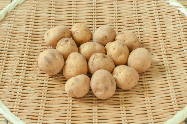 ニシユタカ（S）