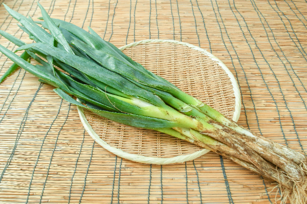 長ねぎ（泥）（L）（多古）7入