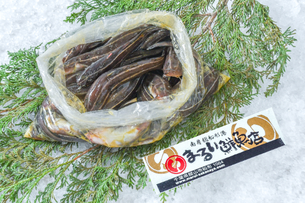 まるい鮮魚店　ゴンズイ　1kg （千葉県館山市船形産）