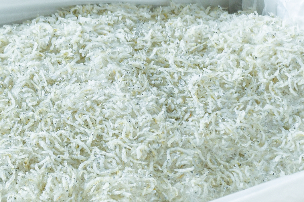 釜揚げしらす