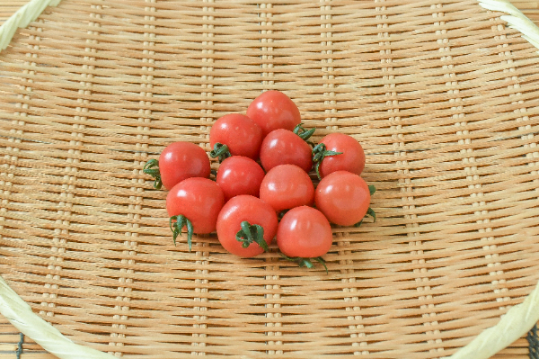 ミニトマト 【業務用食材の仕入れなら八面六臂】