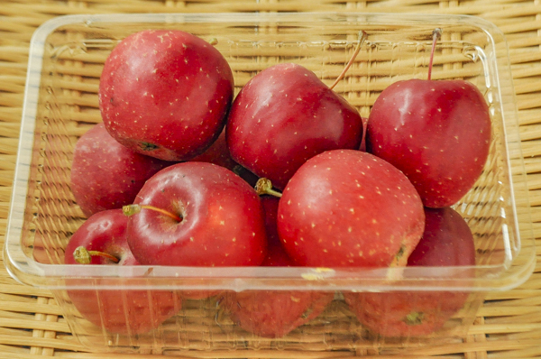 姫りんご アルプス乙女 2l つぶし用 八面六臂