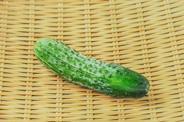 八町きゅうり（信州伝統野菜）