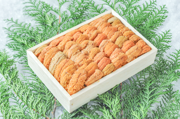 ムラサキウニ（A並び） 【業務用食材の仕入れなら八面六臂】