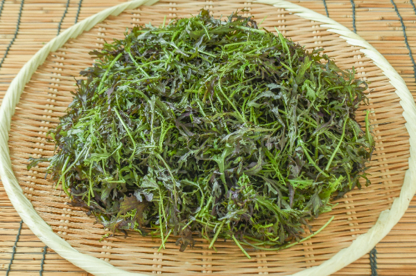 茨城露地ベビーリーフ（アカカラシナ）（有機圃場）
