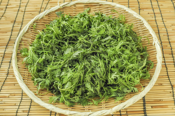 レインボー　茨城露地ベビーリーフ（アカミズナ）（有機圃場）（大）