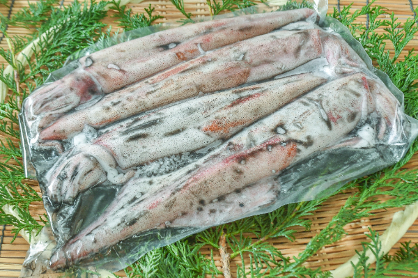 ケンサキイカ　8入