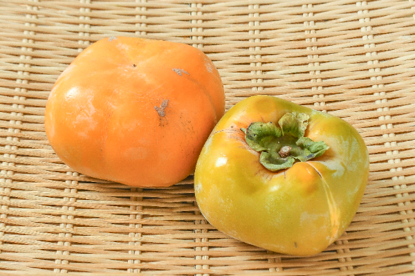 大平核無柿（7L）（18玉サイズ）（優）（種なし）