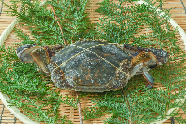 ワタリガニ（ラウンド）（150-200） 【業務用食材の仕入れなら八面六臂】