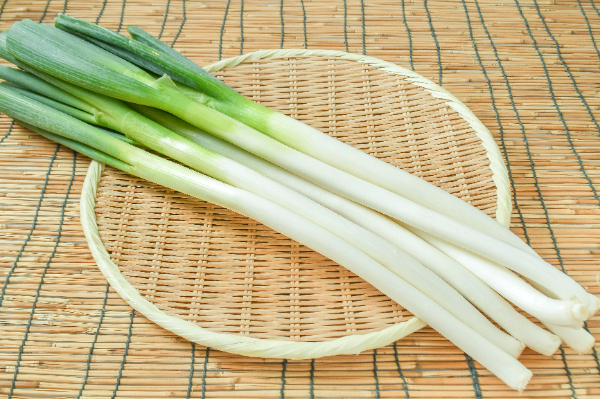 長ねぎ（B太）（加工用）1kg