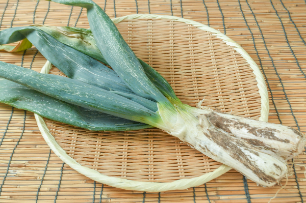 下仁田ねぎ（3L） 【業務用食材の仕入れなら八面六臂】