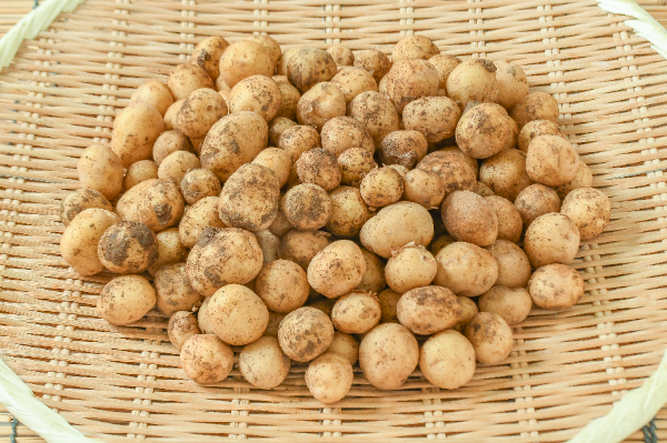 新じゃがいも（3S） 【業務用食材の仕入れなら八面六臂】