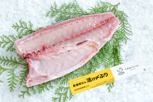 おかめ納豆 極小粒角パック 【業務用食材の仕入れなら八面六臂】