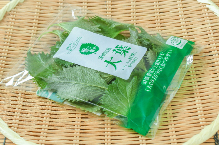 大葉（L） 【業務用食材の仕入れなら八面六臂】