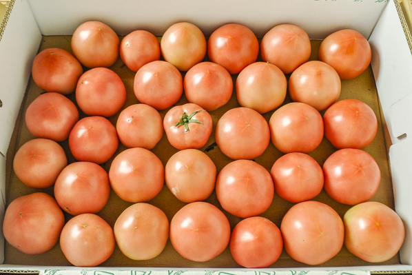 大玉トマト（33玉サイズ）