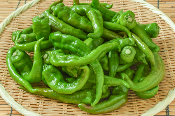 万願寺とうがらし（S）（キズ）1kg