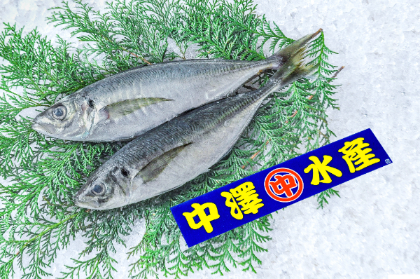 マアジ（底曳網）