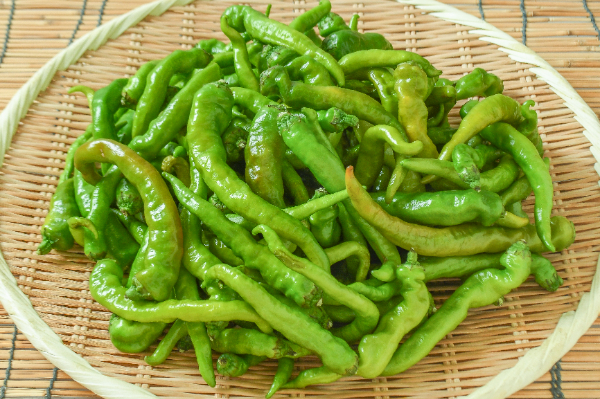 伏見甘長とうがらし（S）（傷）1kg