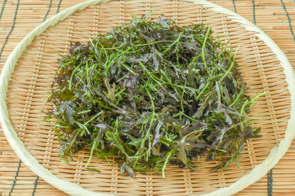 茨城露地ベビーリーフ（アカカラシナ）（有機圃場）