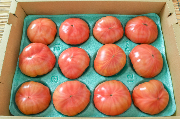 大玉トマト（3L）（ファーストトマト系）