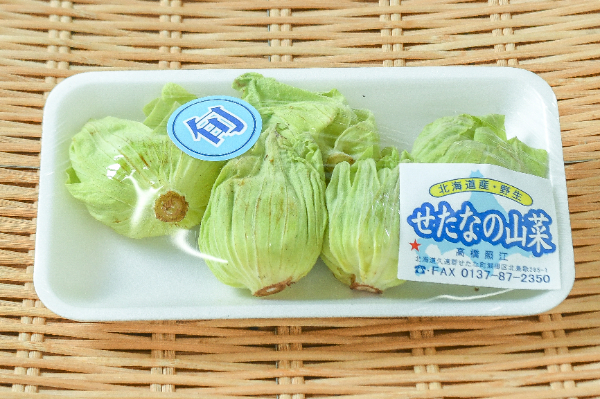 フキノトウ 北海道産 朝採り 5キロ ふきのとう（5玉） 【業務用食材の仕入れなら八面六臂】