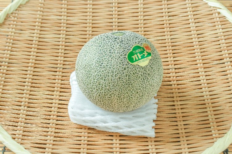オトメメロン（6玉サイズ）（LA）（無） 【業務用食材の仕入れなら