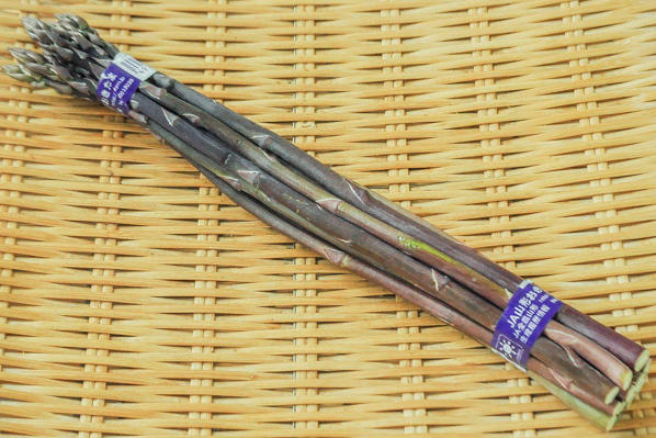 紫アスパラガス（S）