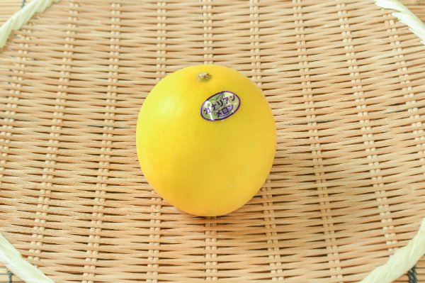 ハネジューメロン（6玉サイズ） 【業務用食材の仕入れなら八面六臂】