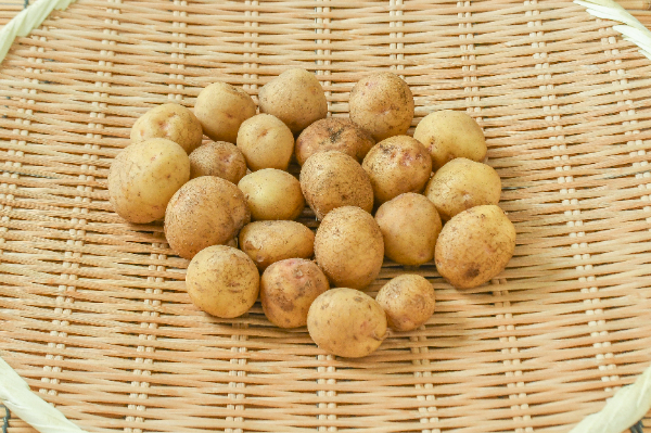 キタアカリ（3S）500gr