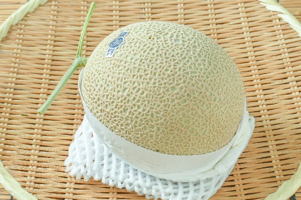 サニーレタス（M） 【業務用食材の仕入れなら八面六臂】
