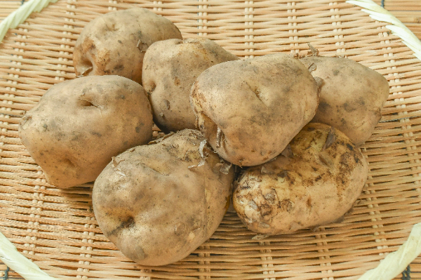 男爵薯（3L）2kg