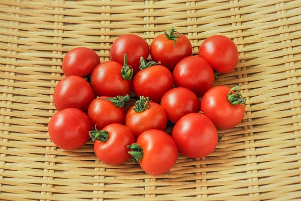 金井さんの減農薬ミニトマト
