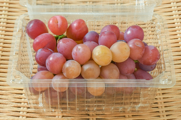 マイハート（秀）400gr
