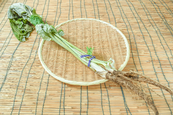 葉ごぼう 【業務用食材の仕入れなら八面六臂】