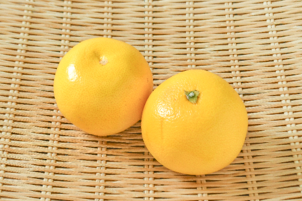 八朔（はっさく）