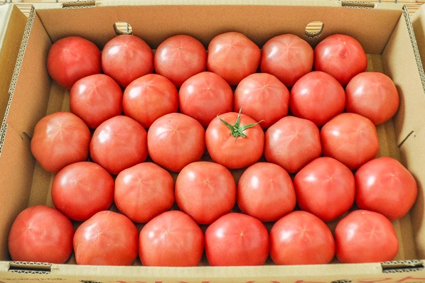 大玉トマト（30玉サイズ）箱4kg