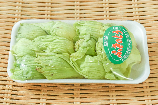 ふきのとう（M）12個入