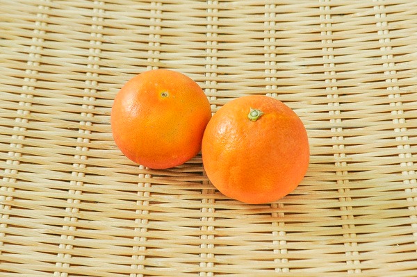ブラッドオレンジ（M）