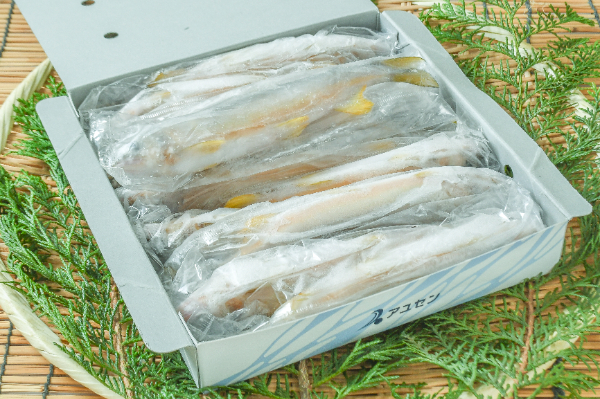 （株式会社アユセン）養殖ハーブあゆ（11尾）（冷凍）