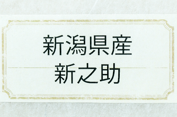 新之助 (1)