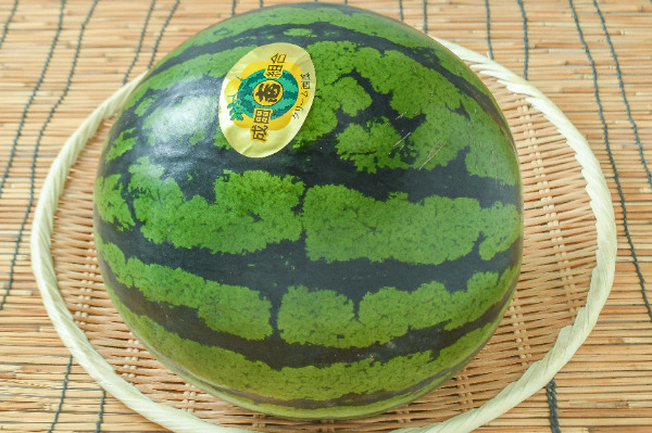 すいか 【業務用食材の仕入れなら八面六臂】
