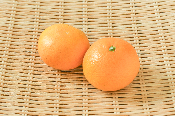 清見オレンジ（4L）