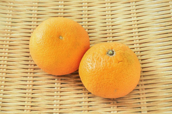 清見オレンジ（L）