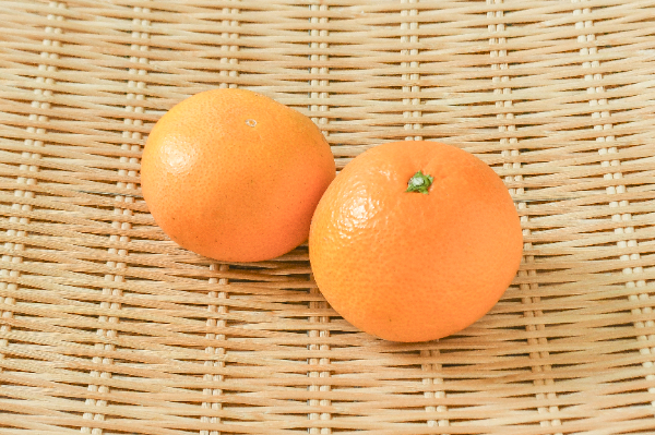 湘南ゴールド 【業務用食材の仕入れなら八面六臂】