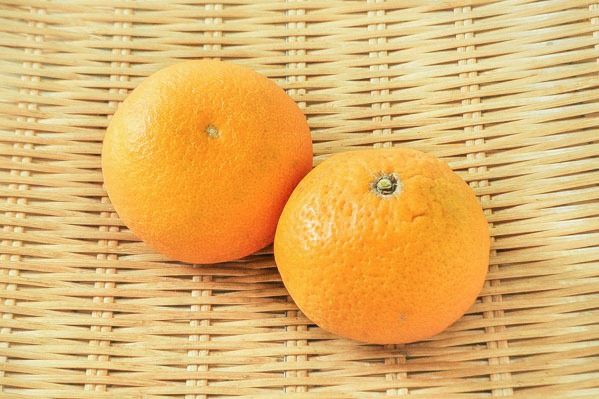 清見オレンジ（2L）