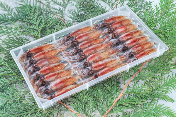 ホタルイカ 【業務用食材の仕入れなら八面六臂】