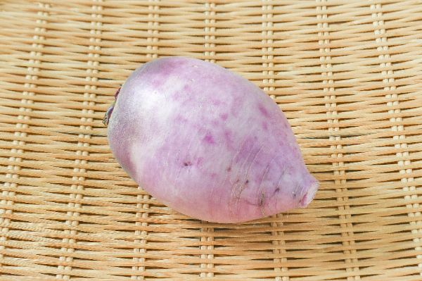 紫大根（味一）（11本サイズ）