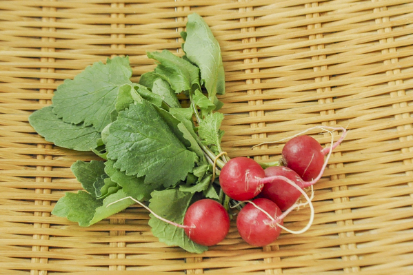 西洋野菜 八面六臂